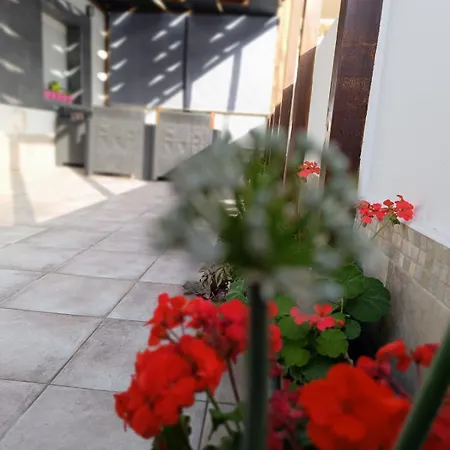 La Miel Appartement